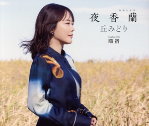 夜香蘭(通常盤)
