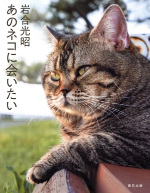写真集 あのネコに会いたい 特装版