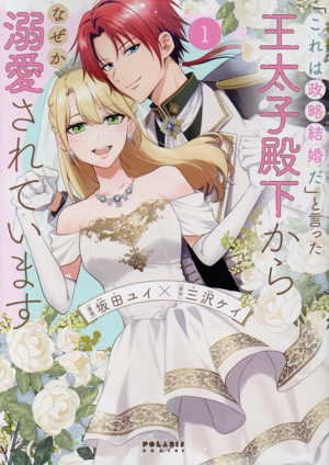 「これは政略結婚だ」と言った王太子殿下からなぜか溺愛されています(1) ポラリスC