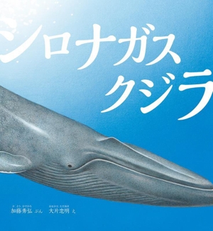 シロナガスクジラ かがくのとも絵本