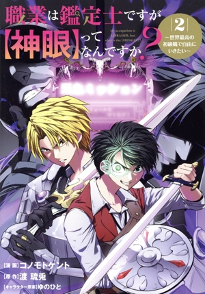 職業は鑑定士ですが【神眼】ってなんですか？(2) 世界最高の初級職で自由にいきたい