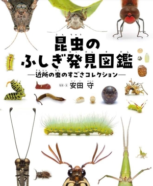 昆虫のふしぎ発見図鑑 近所の虫のすごさコレクション