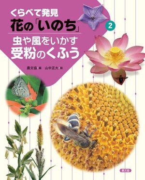 くらべて発見花の「いのち」(2) 虫や風をいかす受粉のくふう