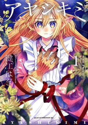 アヤシキミ(1) アフタヌーンKC