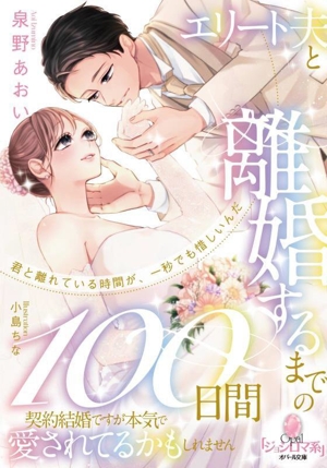 エリート夫と離婚するまでの100日間 契約結婚ですが本気で愛されてるかもしれません オパール文庫