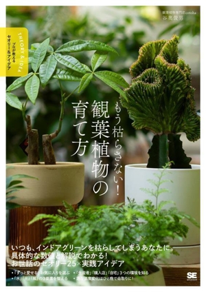 もう枯らさない！観葉植物の育て方 プロが教えるセオリー&アイデア