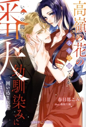 高嶺の花の箱入り令嬢ですが、いつの間にか番犬幼馴染みに囲い込まれていました ルネッタブックス