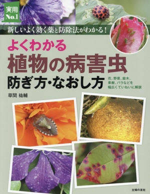 よくわかる植物の病害虫 防ぎ方・なおし方 新しいよく効く薬と防除法がわかる！ 実用No.1