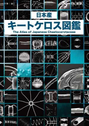 日本産 キートケロス図鑑 地球で最もCO2を吸っているのは誰だ!?