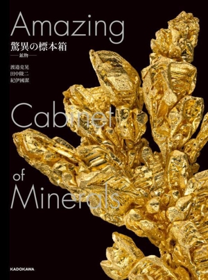 驚異の標本箱 ―鉱物―