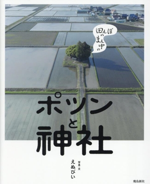 写真集 田んぼのまん中の ポツンと神社