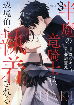 半魔の竜騎士は、辺境伯に執着される(VOL.3) &arche C