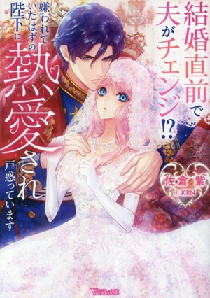 結婚直前で夫がチェンジ!? 嫌われていたはずの陛下に熱愛され戸惑っています ヴァニラ文庫