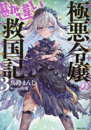 極悪令嬢の勘違い救国記(3) PASH！文庫