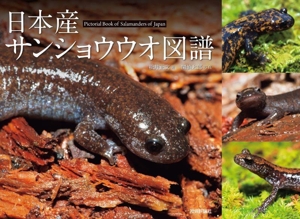 日本産サンショウウオ図譜