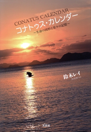 コナトゥス・カレンダー～生命の図形と星々の記憶～