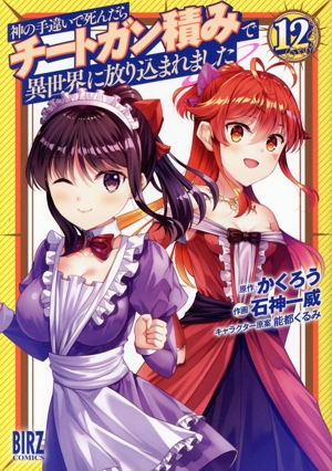 神の手違いで死んだらチートガン積みで異世界に放り込まれました(12) バーズC