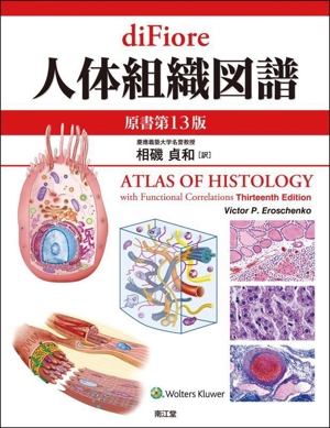diFiore人体組織図譜 原書第13版