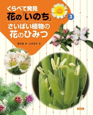 くらべて発見 花の「いのち」(3) さいばい植物の花のひみつ