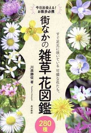 エドワード・バッチ 魂の植物 バッチの花療法への新しい洞察 中古本