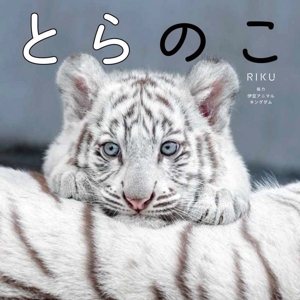 写真集 とらのこ
