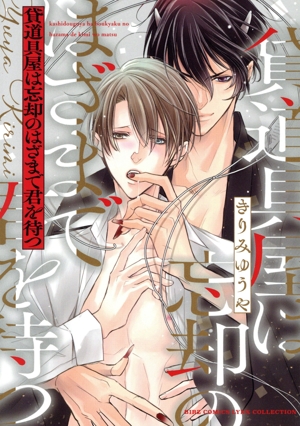 貸道具屋は忘却のはざまで君を待つ バーズCリンクスコレクション