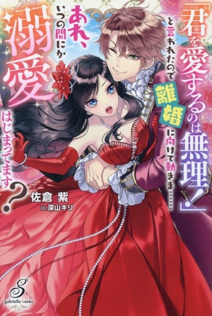 「君を愛するのは無理！」と言われたので離婚に向けて動きま……あれ、いつの間にか溺愛はじまってます？ ガブリエラブックス
