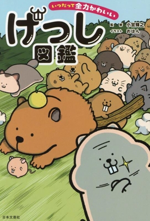 げっし図鑑 いつだって全力かわいい