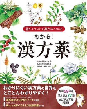 イラスト治療薬ハンドブック 薬はなぜ効くのか？一目でわかる薬効メカニズムとその  /羊土社/橋本信也（単行本） イラスト治療薬ハンドブック 薬はなぜ効くのか？一目でわかる
