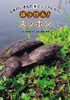 はっけん！スッポン 日本のいきものビジュアルガイド