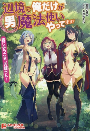 辺境で俺だけが男魔法使いやってます！ 森にようこそ、お嫁さん ぷちぱら文庫Creative