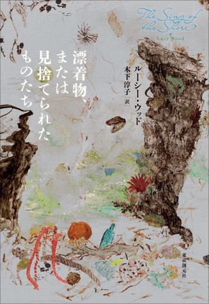 漂着物、または見捨てられたものたち