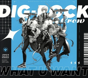 DIG-ROCK:WHAT U WANT