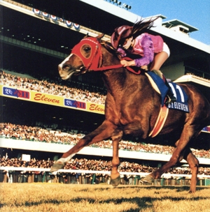 【輸入盤】ELEVEN