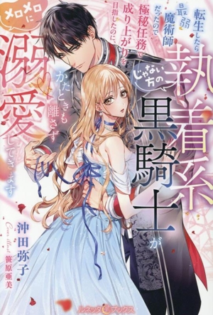 転生したら最弱魔術師だったので極秘任務で成り上がりを目指したのに、じゃない方の執着系黒騎士がかたときも離さずメロメロに溺愛してきます ルネッタブックス