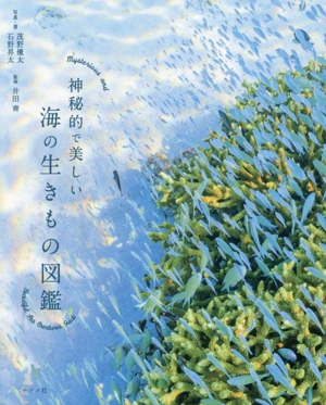 神秘的で美しい海の生きもの図鑑