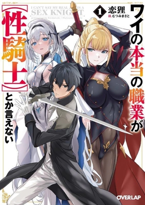 ワイの本当の職業が【性騎士】とか言えない(1) オーバーラップ文庫