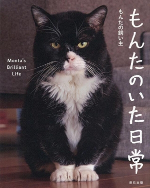 もんたのいた日常