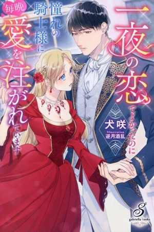 一夜の恋でよかったのに憧れの騎士様に毎晩愛を注がれています ガブリエラブックス