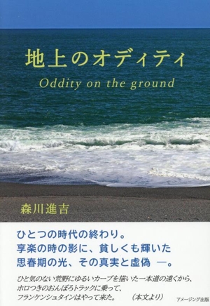 地上のオディティ Oddity on the ground