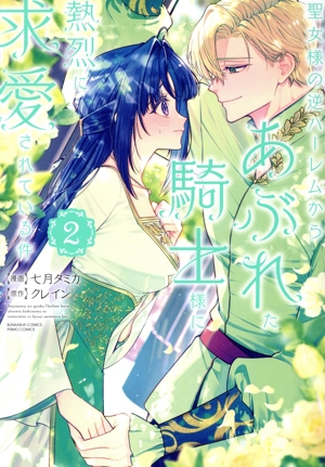 聖女様の逆ハーレムからあぶれた騎士様に熱烈に求愛されている件(2) ぶんか社C PRIMO C