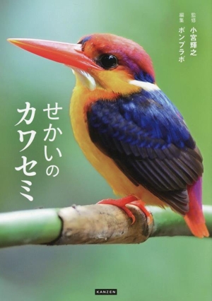 せかいのカワセミ