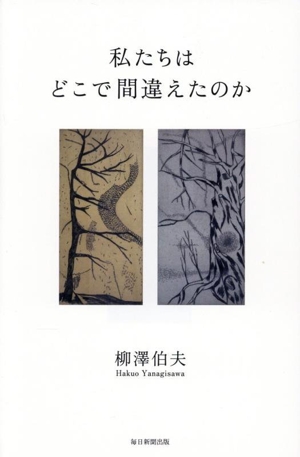 私たちはどこで間違えたのか