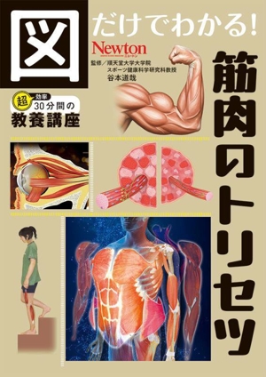 図だけでわかる！筋肉のトリセツ 超効率30分間の教養講座