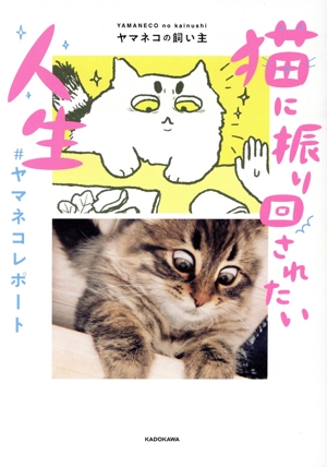 猫に振り回されたい人生 コミックエッセイ #ヤマネコレポート