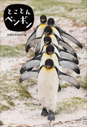 とことんペンギン