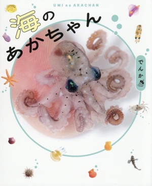 写真集 海のあかちゃん