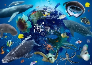 海の聲をきく Unforgettable Encounter