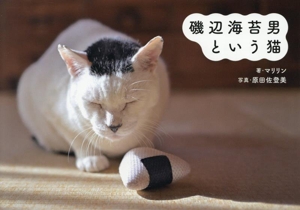 磯辺海苔男という猫