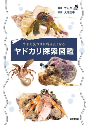 今すぐ見つけに行きたくなるヤドカリ探索図鑑